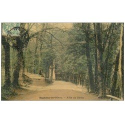 carte postale ancienne 61 BAGNOLES-DE-L'ORNE. Allée du Dante 1907. Superbe Carte Toilée