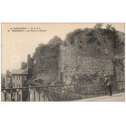 61 DOMFRONT. Lot 10 Cpa. Tours Godras, Chemin Ronde, Château Diable, Cascade, Fossés Plisson, Cent Marches, Saucerie...