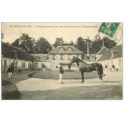 carte postale ancienne 61 LE HARAS DU PIN. L'Hippodrome avec Cheval Pur Sang Etalon 1913