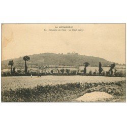 carte postale ancienne 61 LE MONT CERISY 1925