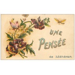 carte postale ancienne 61 MEHERAN. Une Pensée avec Papillon et Libellule 1924