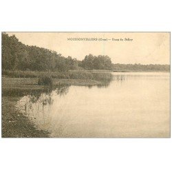 carte postale ancienne 61 MOUSSONVILLIERS. Etang de Belloy