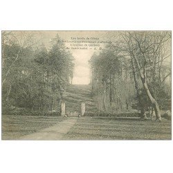 carte postale ancienne 61 SAINT-ANDRE-DE-FONTENAY. Avenue du Château 1904