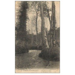 carte postale ancienne 61 TOURNAY-SUR-ODON. Vaches bords de l'Odon 1906