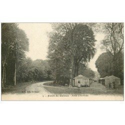 62 FORET DE GUINES. Allée d'Arrivée