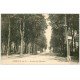 carte postale ancienne 62 HESDIN. Avenue de l'Alouette 1929