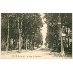 carte postale ancienne 62 HESDIN. Avenue de l'Alouette 1929