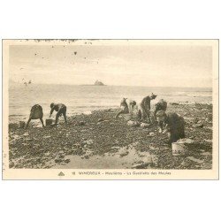 carte postale ancienne 62 WIMEREUX. La Cueillette des Moules 1934