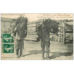 ILES SAINT-PIERRE ET MIQUELON. Les Marchands de Spruce 1909. Terre-Neuve