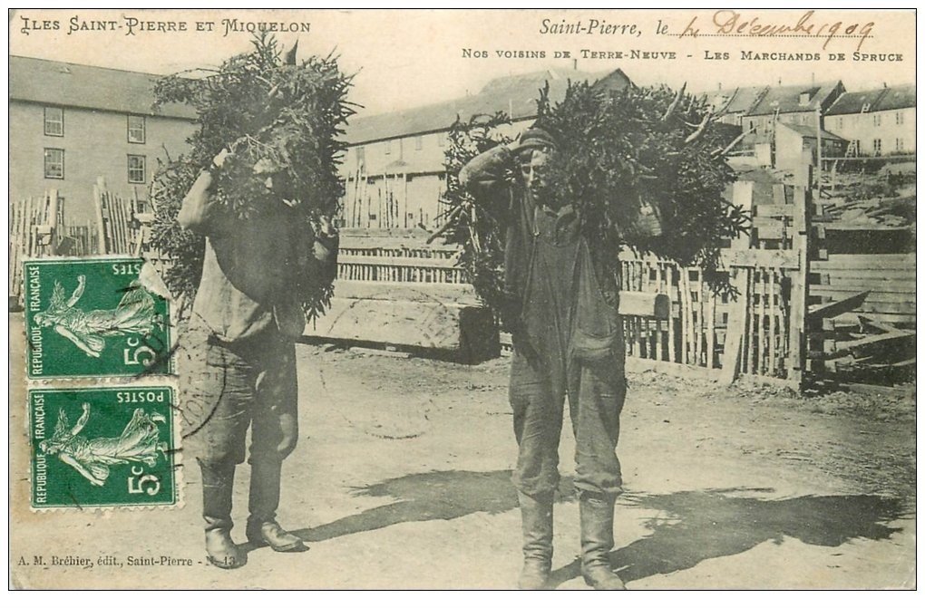 ILES SAINT-PIERRE ET MIQUELON. Les Marchands de Spruce 1909. Terre-Neuve