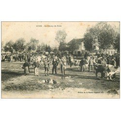 70 LURE. Le Champ de Foire aux Bestiaux