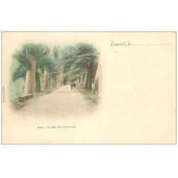 carte postale ancienne 70 LUXEUIL. Vers 1900 Allée des Platanes du Parc