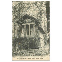 carte postale ancienne 70 SCEY-SUR-SAONE. Ruines Parc du Château