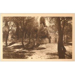 carte postale ancienne 13 SAINT-MICHEL-DE-FRIGOLET. Sous-Bois arrivée de l'Abbaye