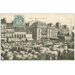 carte postale ancienne 71 AUTUN. Foire aux Bestiaux 1904