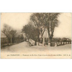 carte postale ancienne 13 TARASCON. Promenade du Roi René et Digue de protection des eaux du Rhône 1923