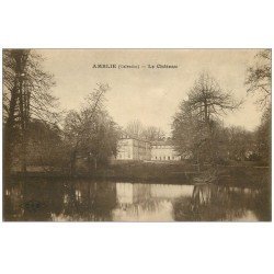 carte postale ancienne 14 AMBLY. Le Château