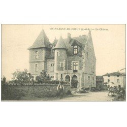 carte postale ancienne 71 SAINT-IGNY-LA-ROCHE. Le Château animation