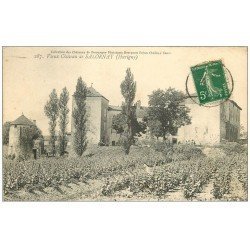 carte postale ancienne 71 SALORNAY. Le Château 1913. Verso vierge