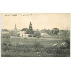 carte postale ancienne 71 VINDECY. Le Village et Vaches au Pré