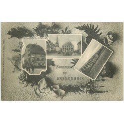 carte postale ancienne 68 DANNEMARIE. Multivues. Edition Mayer