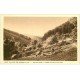 carte postale ancienne 68 WESSERLING. Vaches à Schirlematt près Storkensauen