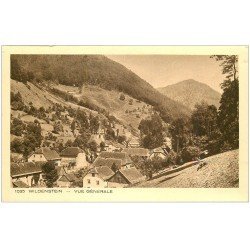 carte postale ancienne 68 WILDENSTEIN. Le Village