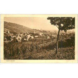 carte postale ancienne 67 BARR. Village et Vignes 2643