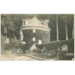 carte postale ancienne 14 BALLEROY. Le Château et Colombier 1918