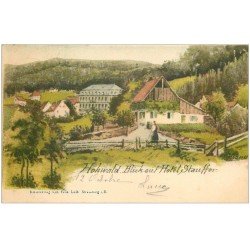 67 HOHWALD. Blick auf Hôtel Stauffer 1901