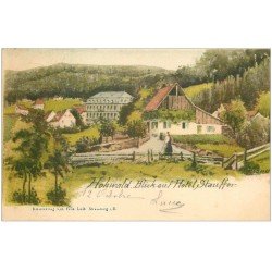 carte postale ancienne 67 HOHWALD. Blick auf Hôtel Stauffer 1901