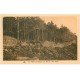 carte postale ancienne 67 MONT SAINTE-ODILE. Mur Païen 29
