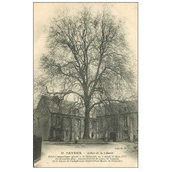 carte postale ancienne 14 BAYEUX. Arbre de la Liberté