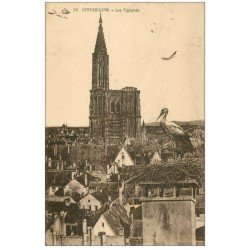 carte postale ancienne 67 STRASBOURG STRASSBURG. Münster Cathédrale 1922 Cigognes