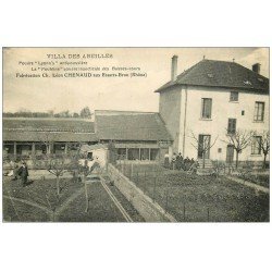 69 ESSARTS-BRON. Rare Villa des Abeilles. Poudre Lyonn's antipoussière et Pouléine insecticide de Chenaud