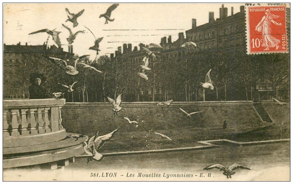 carte postale ancienne 69 LYON. Les Mouettes