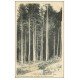 carte postale ancienne 69 MONSOLS. Les Bois de Sapins 1908