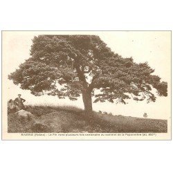 carte postale ancienne 69 RIVERIE. Personnage et Arbre Pin sommet Paponnière