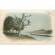 carte postale ancienne 69 ROCHETAILLEE. Train de Péniches 1904