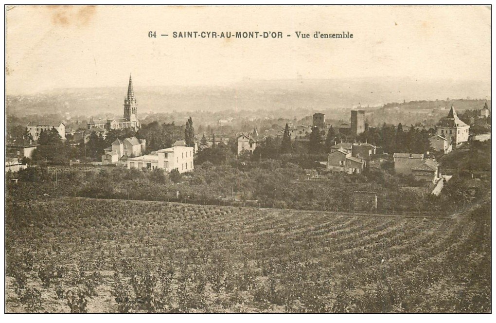 69 SAINTCYRAUMONTD'OR. Vue vignes et vignobles