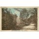 carte postale ancienne 69 SAINT-FORGEUX. Route de Ronzière 1934