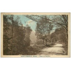 carte postale ancienne 69 SAINT-FORGEUX. Route de Ronzière 1934