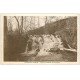 carte postale ancienne 69 VAUGNERAY. Chute Izeron au Chazottier