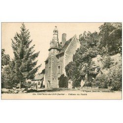 carte postale ancienne 72 CHATEAU-DU-LOIR. Château de Riablé