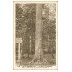 carte postale ancienne 72 FORÊT DE BERCE. Le Chêne Boppe 1945
