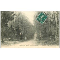 carte postale ancienne 72 FORÊT DE PERSEIGNE. Carrefour des 4 Gardes 1909