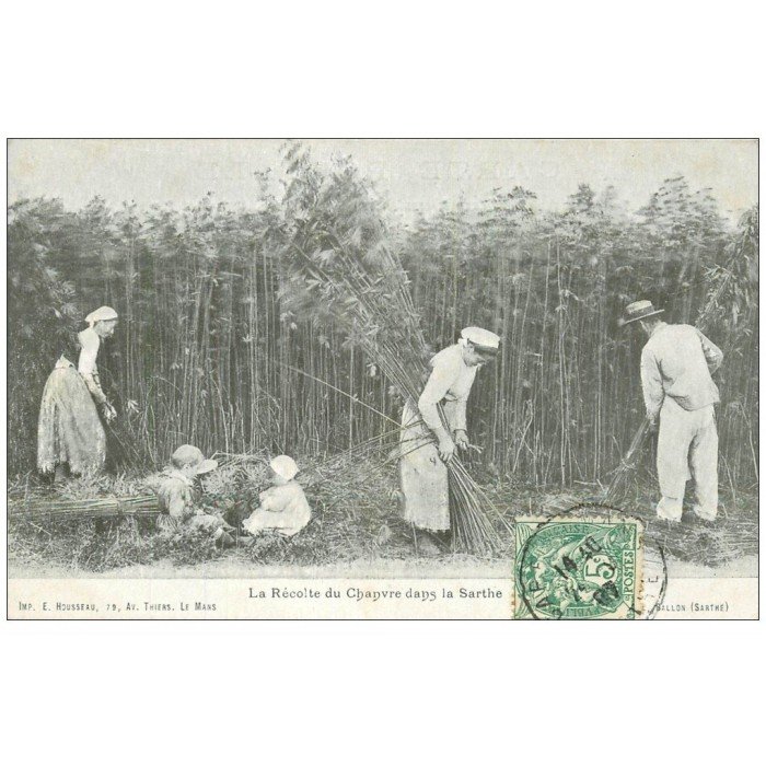 Ancienne Cravache Équestre Swaine & Co. London - Manche En Cerf - Originale Années 1900