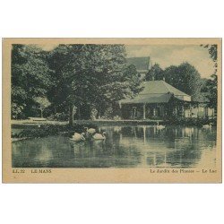carte postale ancienne 72 LE MANS. Jardin des Plantes Cygnes sur le Lac