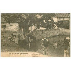 carte postale ancienne 14 CAEN. La Laiterie Vaches à l'Abreuvoir 1905
