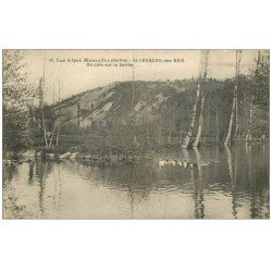 carte postale ancienne 72 SAINT-LEONARD-DES-BOIS. Canards sur la Sarthe